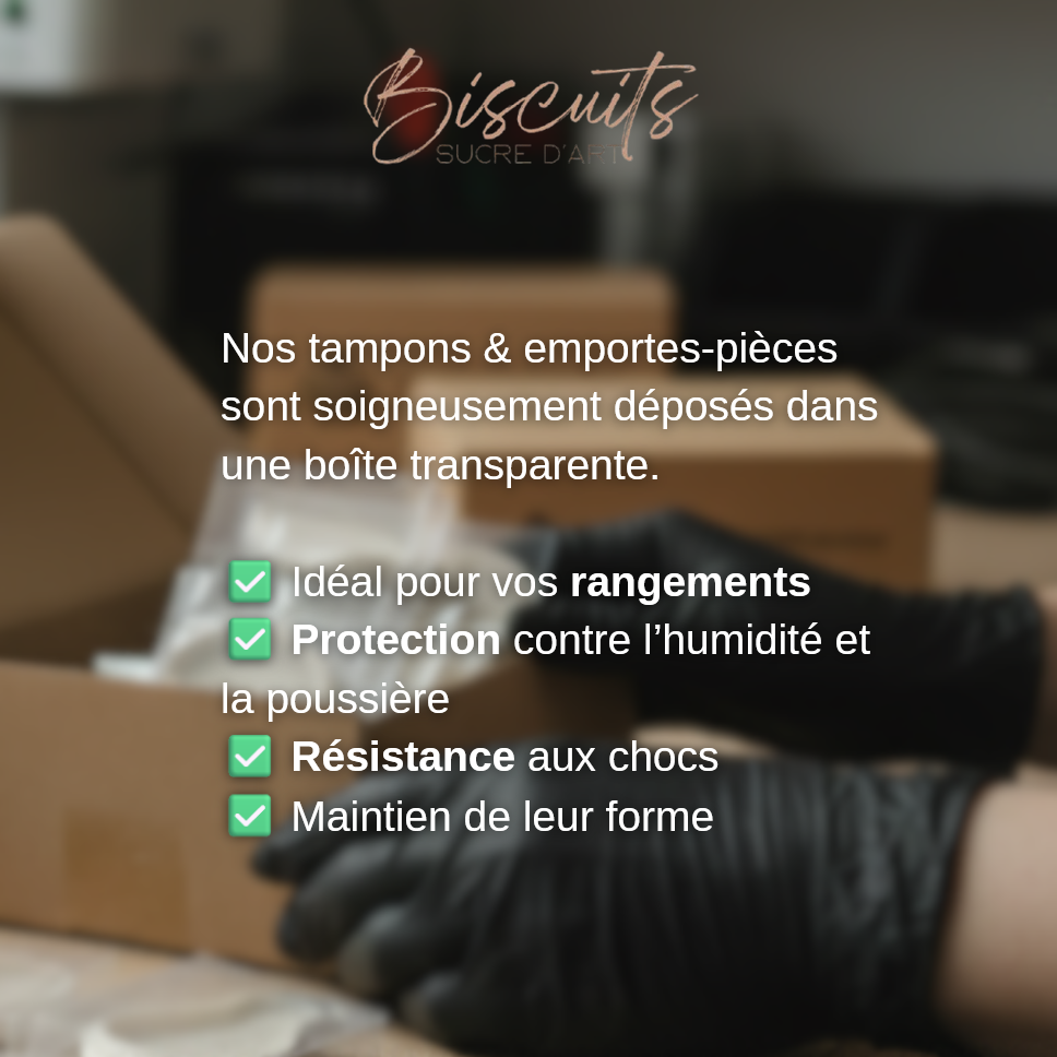 Capture d'écran 2025-11-04 235426.webp