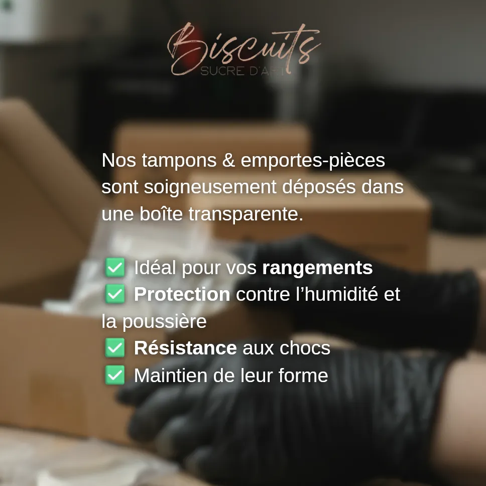 Capture d'écran 2025-11-04 235426.webp