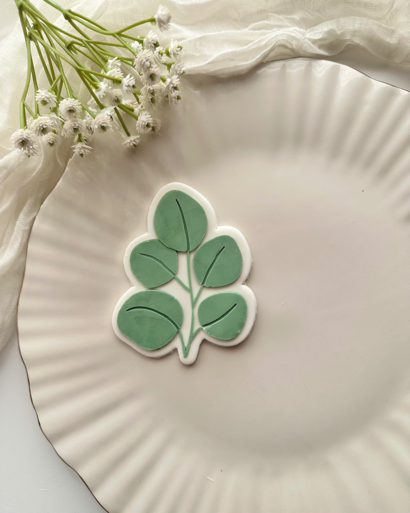 Branche d'Eucalyptus à Feuilles Rondes