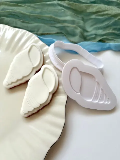 Coquillage Buccinoïde (Duo)