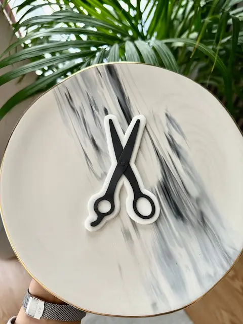 Paire de Ciseaux de Coiffeur (Duo)