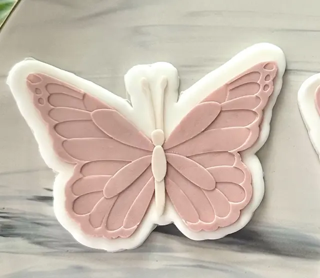 Papillon Enchanteur (Duo)