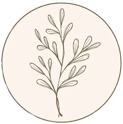 Biscuits Sucre d'Art